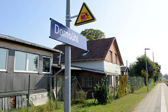 Domsühl ist ein Ort und der Name einer Gemeinde im Landkreis Ludwigslust-Parchim in Mecklenburg-Vorpommern.