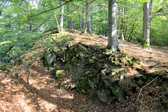 Der Nationalpark Kellerwald-Edersee im nordhessischen Landkreis Waldeck-Frankenberg ist ein 57,38 km² großer Nationalpark im Mittelgebirge Kellerwald.
