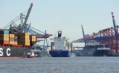 Container Feeder LIBRA SANTA CATARINA im Hamburger Hafen