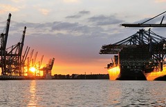 Abendstimmung im Hafen Hamburg - Sonnenuntergang am Burchardkai.