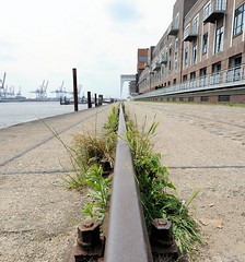 Altonaer Hafen - Schienen des Hafenkrans an der Großen Elbstraße. Wildkraut wächst am Gleis.