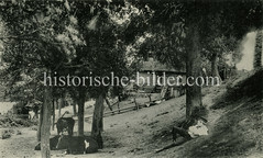 Altes Motiv vom Westerdeich in Hamburg Finkenwerder. Ein Junge hütet ein kleine Herde Kühe, im Hintergrund eine Bauernkate am Deich.