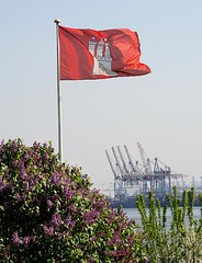 In den Vorgarten der Lotsenhäuser in Hamburg Oevelgönne blüht der Flieder - eine Hamburg Fahne weht im Wind. Am gegenüberliegenden Elbufer die Containerkräne des Terminals Burchardkai.