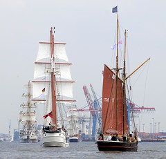 Segelschiffe bei der Einlaufparade des Hamburger Hafengeburtstages.