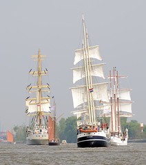 Segelschiffe bei der Einlaufparade des Hamburger Hafengeburtstages.