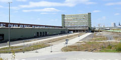 Bilder aus dem Kleinen Grasbrook, Stadtteil in Hamburg -  Übersee Zentrum; Parkplätze und Verwaltungsgebäude.