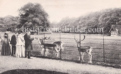 Historisches Bild vom Hirschpark in Hamburg Nienstedten / Blankenese.