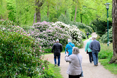 Rhododendronpark in Graal-Müritz im Landkreis Rostock in Mecklenburg-Vorpommern