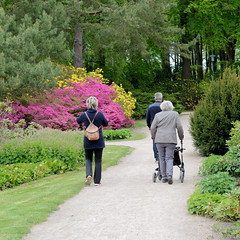 Rhododendronpark in Graal-Müritz im Landkreis Rostock in Mecklenburg-Vorpommern