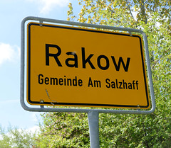 Rakow  ist ein Ortsteil der Gemeinde Am Salzhaff im Landkreis Rostock in Mecklenburg-Vorpommern