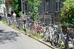 Bilder aus dem Hamburger Stadtteil Rotherbaum, Bezirk Hamburg Eimsbüttel; am Straßenrand abgestellte Fahrräder.