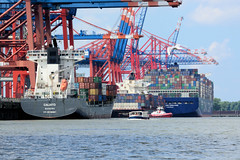 Containerfrachter am Terminal Eurogat im Hamburger Hafen / Waltershofer Hafen.