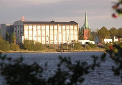 Blick über den Holzhafen und die alte Elbe in Hamburg Moorfleet  - auf der gegenüber liegendes Seite der Moorfleeter Deich in der Abendsonnen. Rechts davon die Moorfleeter  St. Nikolaikirche.