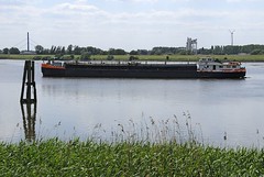Das Binnenschiff ALBATROS fährt in der Billwerder Bucht in Höhe vom  Moorfleeter Deich; eine Duckdalbe aus Holz spiegelt sich im Wasser, im Vordergrund Schilf am Ufer. Das Binnenschiff ALBATROS hat eine Länge von 80,00m und eine Breite von 9,50m.