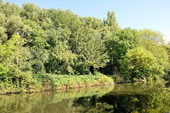Fotos aus dem Hamburger Stadtteil Wilhelmsburg, Bezirk Hamburg-Mitte; Blick über dem Ernst August Kanal zu den Bäumen und Sträuchern des sogenannten wilden Waldes.