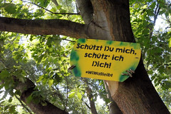 Fotos aus dem Hamburger Stadtteil Wilhelmsburg, Bezirk Hamburg-Mitte; Schild Schützt du mich,  schütz ich dich - WiWableibt - an einem Baum bei der Georg Wilhelm Straße.