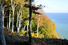 Der   Nationalpark Jasmund      liegt auf der Halbinsel Jasmund im Nordosten der Insel Rügen im Bundesland Mecklenburg-Vorpommern.
