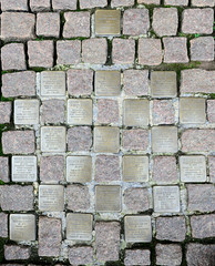 Stolpersteine für die gewählten Mitglieder der Hamburgischen Bürgerschaft auf dem Rathausplatz.