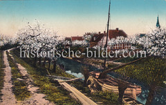 Blühende Obstbäume am Ufer der Este - ein Boot liegt am Ufer.