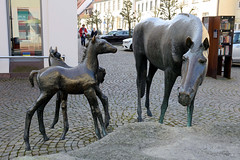 Die Stadt Warendorf ist die Kreisstadt des Kreises Warendorf - sie liegt im Regierungsbezirk Münster im Bundesland Nordrhein-Westfalen; Skulptur Pferdebrunnen.