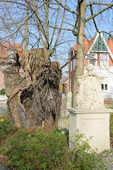 Telgte  ist eine Stadt im Kreis Warendorf im Bundesland Nordrhein-Westfalen; Marienlinde  - ca. 750 Jahre alt.