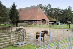 Morass ist ein Ort in der gleichnamigen Gemeinde  im Landkreis Ludwigslust-Parchim in Mecklenburg-Vorpommern;  Fachwerkscheune mit Walmdach - Pferde.