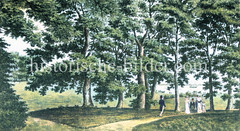 Ansicht vom Jenischpark um 1840 - im Hintergrund die Elbe.
