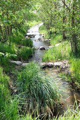 Lauf vom Neuen Kanal im Gemeindegebiet von Lüblow; mit Steinen renaturiertes Gewässer.