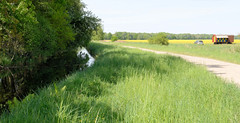 Lauf des Ludwigsluster Kanals durch die Felder vor Ludwigslust; Rapsfeld und Bienenstöcke.