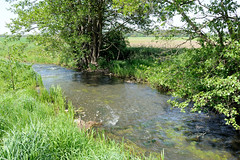 Lauf des Neuen Kanals in der Gemeinde Wöbbelin im Landkreis Ludwigslust-Parchim in Mecklenburg-Vorpommern; Bäume am Kanalufer - Felder.