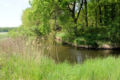 Lauf des Ludwigsluster Kanals im Dorf Tuckhude, Neustadt-Glewe; Bäume am Kanalufer.