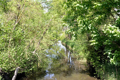Lauf vom Neuen Kanal im Gemeindegebiet von Lüblow; dichte Sträucher / Bäume am Kanalufer.