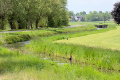 Banzkow ist eine Gemeinde im Landkreis Ludwigslust-Parchim in Mecklenburg-Vorpommern; Lauf des Neuer Kanals durch Wiesen.