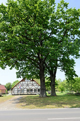 Bandenitz ist eine Gemeinde im Landkreis Ludwigslust-Parchim in Mecklenburg-Vorpommern; hohe Eichen, Fachwerkhaus.