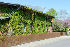 Wüstmark  ist ein Stadtteil von Schwerin, der Landeshauptstadt  von Mecklenburg-Vorpommern;   Backsteingebäude, Fassade mit Kletterpflanze / Wein bewachsen.