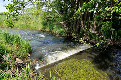Lauf des Neuen Kanals in der Gemeinde Wöbbelin im Landkreis Ludwigslust-Parchim in Mecklenburg-Vorpommern; kleine Staustufe und schnell fließendes Gewässer.