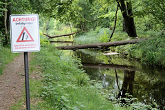 Fotos vom Schlosspark in Ludwigslust; Ludwigsluster Kanal, umgestürzte Bäume - Warnschild Achtung  Unfallgefahr!