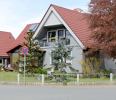 Pülsen ist ein Ort in der Gemeinde Köhn im Kreis Plön in Schleswig-Holstein; Wohnhaus mit Tanne und Araukarie im Vorgarten.