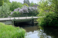 Lauf des Ludwigsluster Kanals im Dorf Tuckhude, Neustadt-Glewe; Brücke und blühender Flieder.