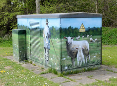 Oldenburg in Holstein  ist eine Stadt in Schleswig-Holstein im Kreis Ostholstein; Trafomalerei - Hirte mit Schafsherde.