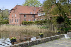 Lütjenburg  ist eine Stadt im Kreis Plön in Schleswig-Holstein;  Dorfteich und Wohnhäuser.