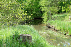 Lauf des Neuen Kanals beim Dorf Tuckhude, Neustadt-Glewe; Kanalgabelung / Torfmoorgraben.