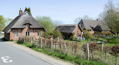Der Ort Bellin ist ein Fischerdorf am Selenter See in der Gemeinde Lammershagen im Kreis Plön in Schleswig-Holstein;  reetgedeckte Gebäude.