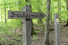Die Bräutigamseiche ist eine Eiche im  Dodauer Forsts bei Eutin in Schleswig-Holstein;