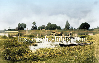 Fährbetrieb mit Pferdewagentransport von Hamburg Moorburg nach Altenwerder - im Hintergrund Wohnhäuser hinter dem Deich.