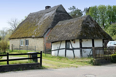 Der Ort Bellin ist ein Fischerdorf am Selenter See in der Gemeinde Lammershagen im Kreis Plön in Schleswig-Holstein; bemooste Reetdächer.
