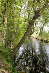 Lauf des Ludwigsluster Kanals im Dorf Tuckhude, Neustadt-Glewe;  Bäume am Kanalufer.
