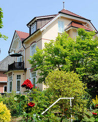 Fotos aus dem Hamburger Stadtteil Bergedorf; blühende Rosen - Villa im Steinkamp.
