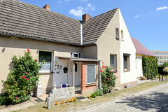 Das Dorf Schönberg ist ein Ortsteil der Hansestadt Seehausen (Altmark) im Landkreis Stendal in Sachsen-Anhalt; Doppelhaus, blühende Rosen.