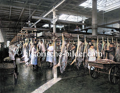 Altes Bild von der Arbeit auf dem Hamburger Schlachthof - Schweinehälften hängen am Haken, eine Karre ist mit Eingeweiden gefüllt.
